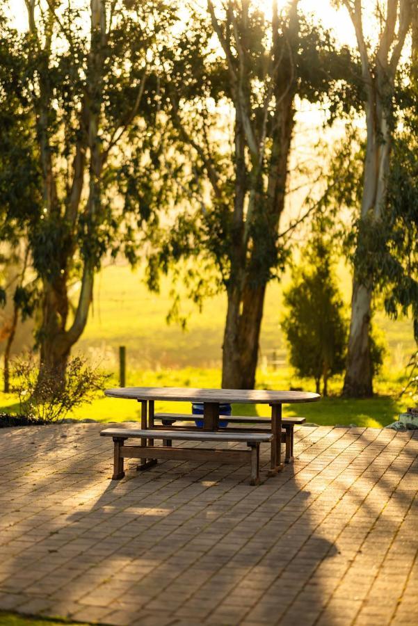 Ocean & Mountain Views - Kaikoura Villa Dış mekan fotoğraf